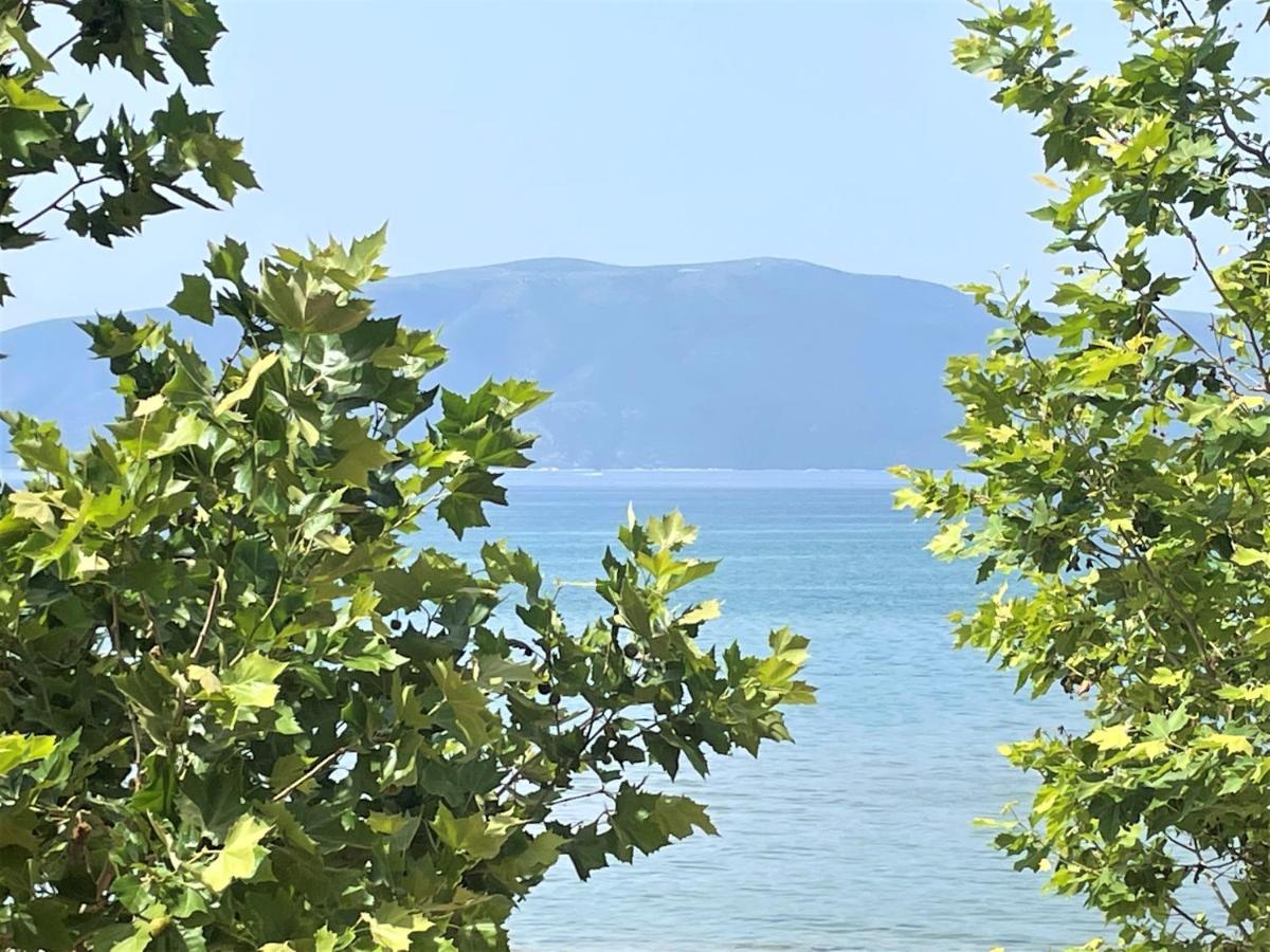 Blue Horizon Wlora
